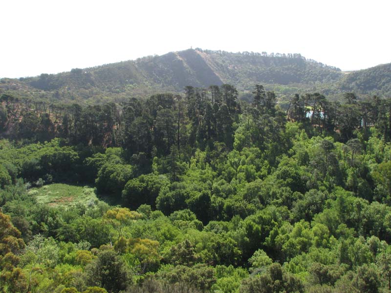 Valley Lake - Mount Gambier